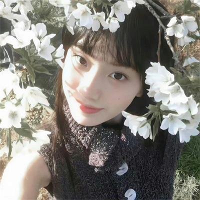 家在树德坊